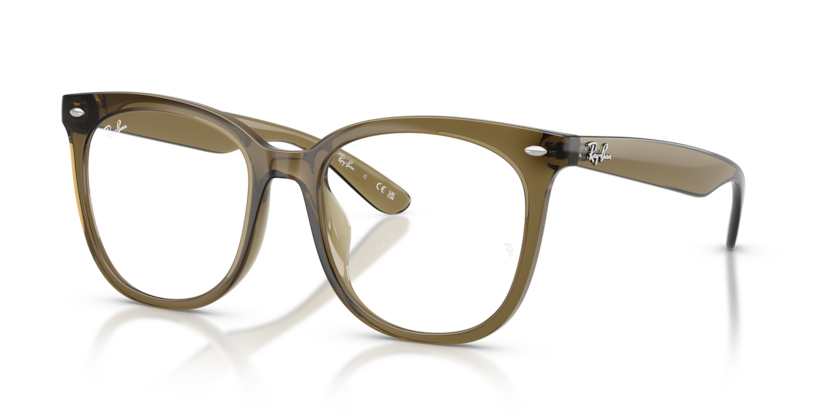 Ray-Ban Vista RX4379VD  Eyeglasses
