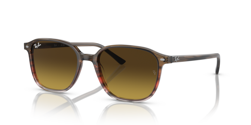 Ray-Ban RB2193 Leonard Sunglasses