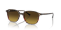 Ray-Ban RB2193 Leonard Sunglasses