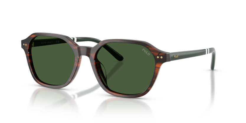 Polo PH4234U  Sunglasses