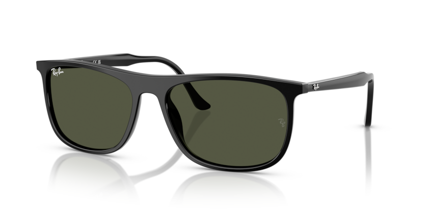 Ray-Ban RB2216  Sunglasses