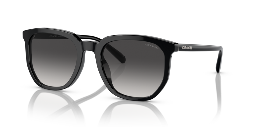 Coach HC8384U Cl911 Sunglasses