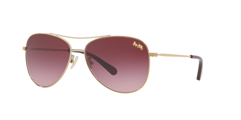 Coach HC7079 L1013 Sunglasses