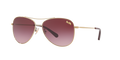 Coach HC7079 L1013 Sunglasses