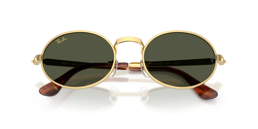 Ray-Ban RB3931  Sunglasses