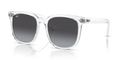 Ray-Ban RB4401D  Sunglasses