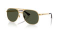 Ray-Ban RB3793 Bill Max Sunglasses