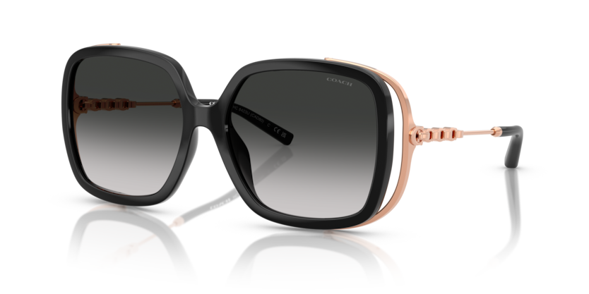 Coach HC8423U Cad80 Sunglasses