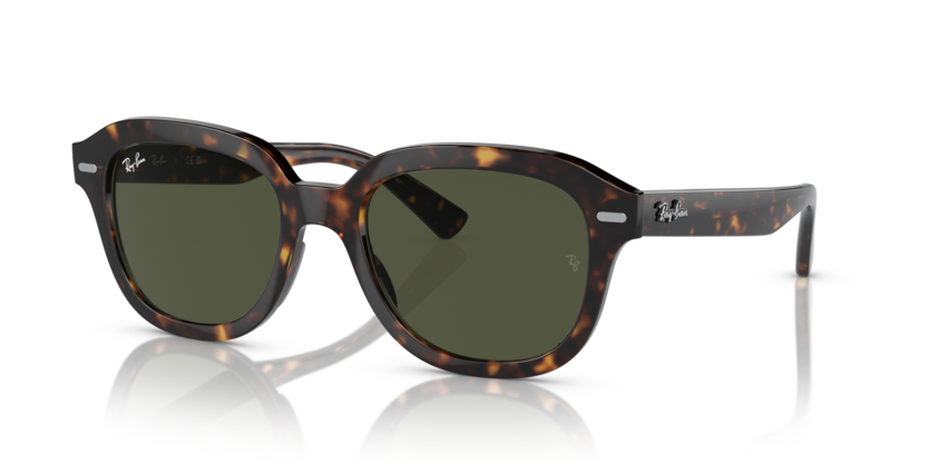 Ray-Ban RB4398F Erik Sunglasses