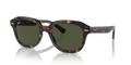 Ray-Ban RB4398F Erik Sunglasses
