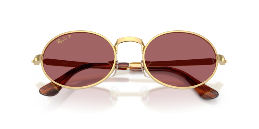 Ray-Ban RB3931  Sunglasses