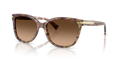 Coach HC8132 L109 Sunglasses