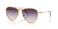 Swarovski SK7031  Sunglasses