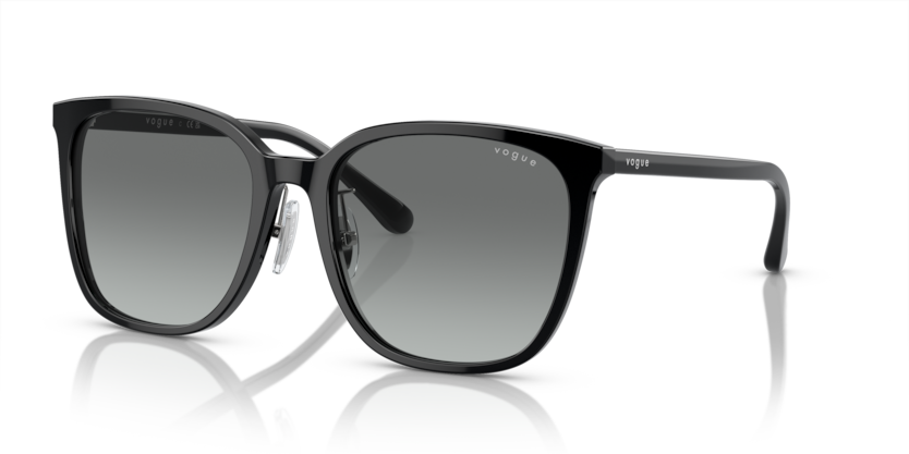 Vogue VO5537SD  Sunglasses