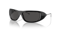 Diesel DL3001  Sunglasses