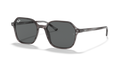 Ray-Ban RB2194 John Sunglasses