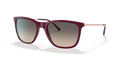 Ray-Ban RB4344  Sunglasses
