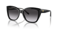 Emporio Armani EA4198  Sunglasses