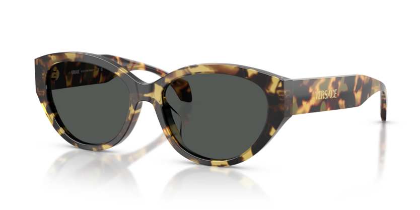 Versace VE4495D  Sunglasses