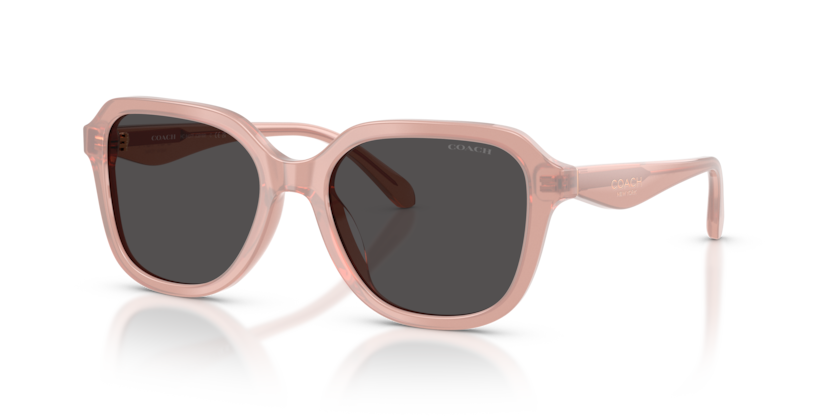 Coach HC8437F Cby89 Sunglasses