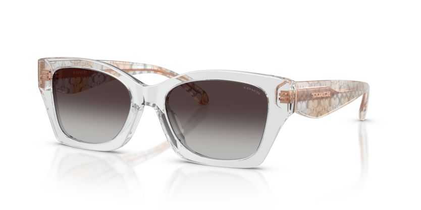 Coach HC8451U Cdp49 Sunglasses