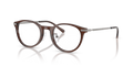 Polo PH2313D  Eyeglasses