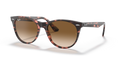 Ray-Ban RB2185 Wayfarer Ii Sunglasses