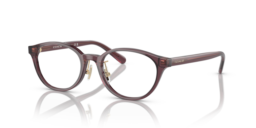 Coach HC6152D  Eyeglasses