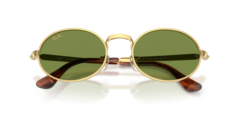 Ray-Ban RB3931  Sunglasses