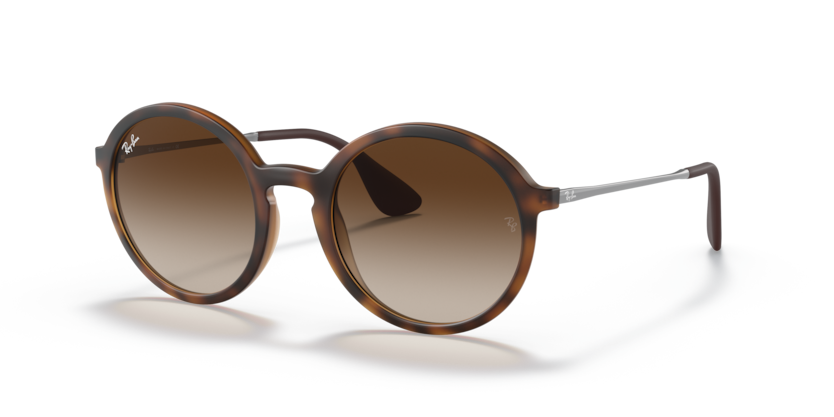 Ray-Ban RB4222  Sunglasses