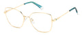 Polaroid PLD D521/G Eyeglasses