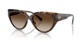 Michael Kors MK2241U Boca Raton Sunglasses