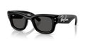 Ray-Ban RB4940B Wayfarer Puffer Sunglasses