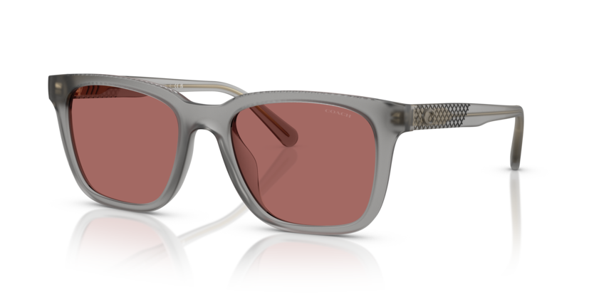 Coach HC8426U Cad81 Sunglasses
