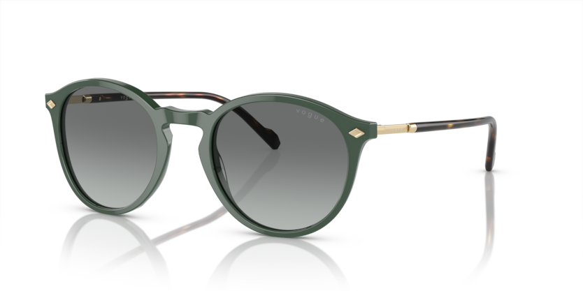 Vogue VO5432S  Sunglasses