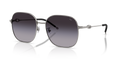 Diesel DL1010D  Sunglasses