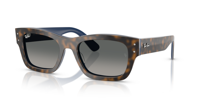 Ray-Ban RB7683S Joseph Sunglasses