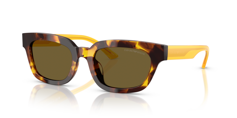 Emporio Armani EA4233U  Sunglasses