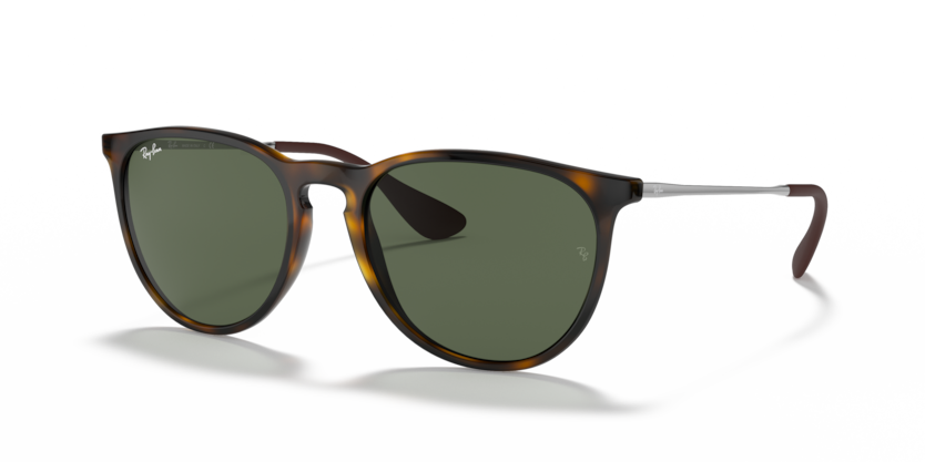 Ray-Ban RB4171 Erika Sunglasses