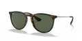 Ray-Ban RB4171 Erika Sunglasses