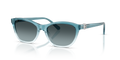 Swarovski SK6070  Sunglasses