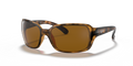 Ray-Ban RB4068 Rb4068 Sunglasses