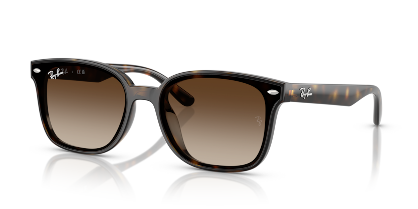 Ray-Ban RB4461D  Sunglasses