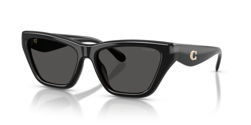 Coach HC8449U Cdp33 Sunglasses