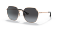Coach HC7132 C7998 Sunglasses