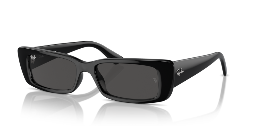 Ray-Ban RB4425 Teru Sunglasses