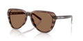 Diesel DL2011U  Sunglasses