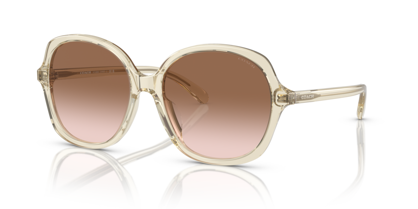 Coach HC8360U Ch557 Sunglasses