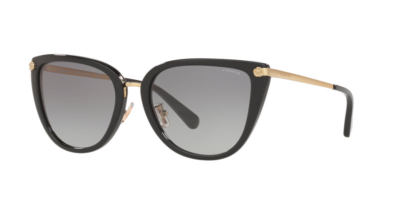 Coach HC8276 L1099 Sunglasses