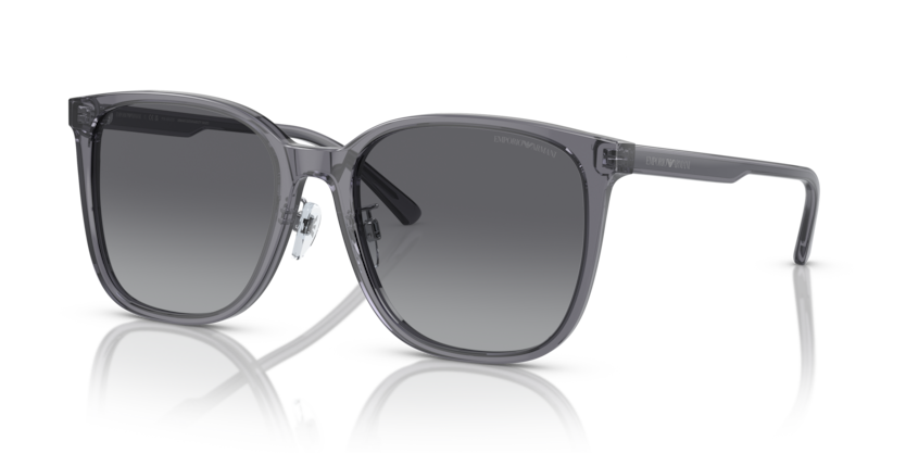 Emporio Armani EA4206D  Sunglasses